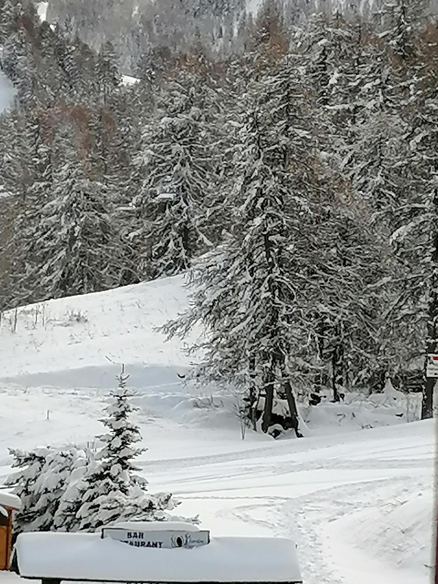 Coeur D'Altair Risoul 1850 Appartement T2 Confortable Skis Aux Pieds A 300 M Centre Exterior foto
